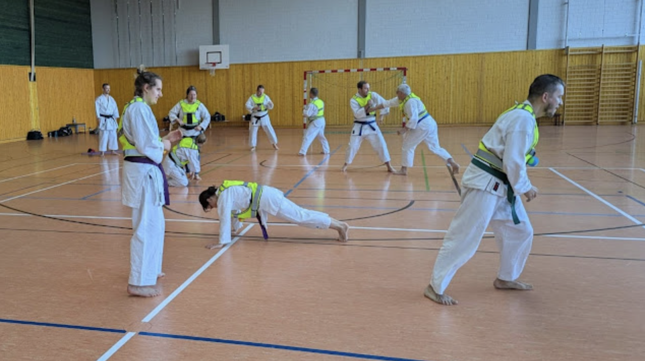 Lehrgang „Karate weiterdenken“ mit Daniel Steffen 